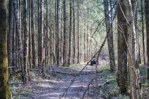 Batran de 80 de ani cercetat penal pentru conducerea unui ATV neimatriculat