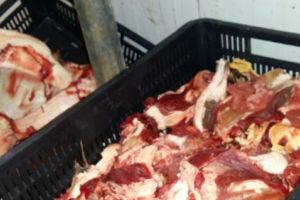 Contorl al comisarilor CJPC la o macelarie din zona Tomis 3 din Constanta. Imagini infioratoare. In ce conditii era pregatita carnea