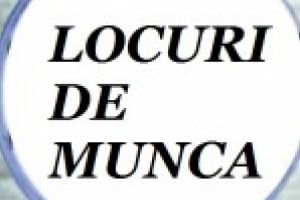 LOCURI DE MUNCA VACANTE