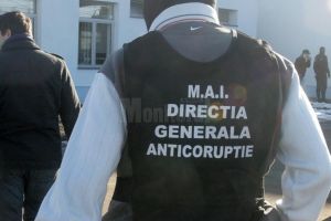 Percheziţii la un abator din Suceava, într-o anchetă privind cai traficaţi cu paşapoarte false