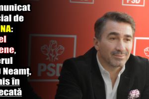 Comunicat oficial de la DNA: Ionel Arsene, liderul PSD Neamţ, trimis în judecată