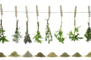 Secretele ierburilor aromatice: Cum să le foloseşti în funcţie de mâncarea pe care o găteşti