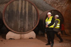 Making of: Cum se reabilitează Palatul Baroc şi ce s-a găsit în subsolul clădirii (FOTO/VIDEO)