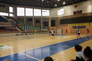 Arbitrajul a făcut Argeşul să curgă. Crişul a pierdut acasă cu echipa regăţeană