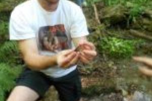 Este ceva putred cu Planul de Management al PN Semenic! Membri din Consiliul Știinţific protestează prin demisie!