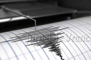 Cutremur, joi seară, în zona seismică Vrancea