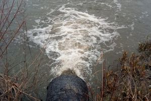 Verificari la statia de epurare de la Smithfield, la solicitarea prefectului de Timis