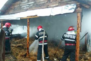 10 tone de lucernă au ars la Călineşti; pompierii s-au luptat cu flăcările 3 ore