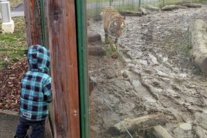 Blocaţi cu animalele: O orădeancă şi cei trei copii ai ei s-au trezit închişi în Grădina Zoologică din Oradea!
