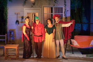 Se va finanţa activitatea fanfarelor şi teatrelor din judeţ