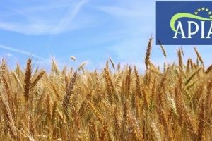 APIA Mureş anunţă: Plata pentru practici agricole benefice pentru climă şi mediu 2018 (Înverzire)