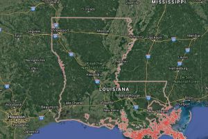 SUA. Focuri de arma in campusul unei universitati din Louisiana. Doi raniti