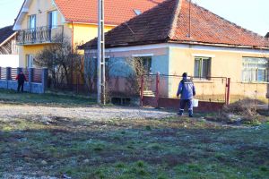 FOTO. Cum a rezolvat o comună din Satu Mare problema trichinelozei