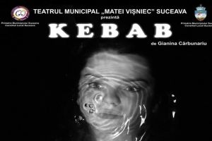 Proiectul Schimb de spectacole