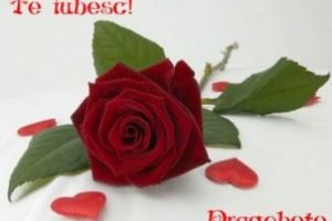 Semnificaţia Dragobetelor sau Zilei Îndrăgostiţilor – sărbătoarea românească a iubirii