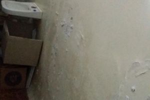 FOTO. Florin Crişan, preşedinte PMP Zlatna: Împreuna salvăm biblioteca oraşului. Domnilor Ponoran, faceţi covrigii acasă şi lăsaţi-o să funcţioneze într-un spaţiu adecvat