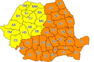 Cod portocaliu de vreme rea