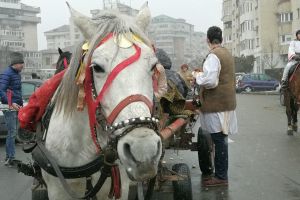 Paştele Cailor-sărbătoare cu tradiţii la Târgovişte