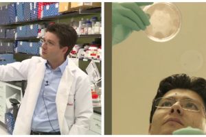 Cercetător originar din Alba, caută leacul pentru autism la Stanford. Obţine porţiuni de creier din simple celule de piele