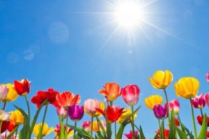 Prognoza meteo pe două luni. Cum va fi vremea de Paşti şi de 1 Mai