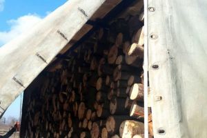 Un camion plin cu lemne fără acte, confiscat de Jandarmeria Bihor