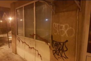 Sediu PSD, VANDALIZAT de huligani - FOTO