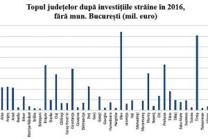 Bacăul, în coada clasamentului la investiţiile străine directe