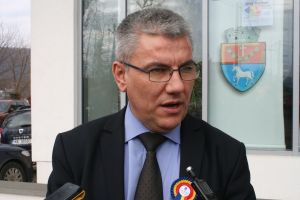 Forestierii vor să exploateze şi mai mult lemn. Ce i-au mai cerut ministrului Ioan Deneş