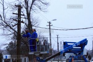 Primarii din Timis se plang de desele intreruperi de curent. Enel: Cablurile sunt afectate de vegetatie