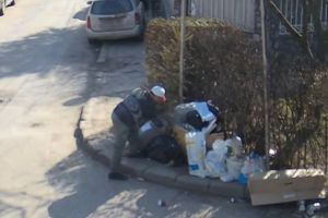 Rusinea Timisoarei: 600 de mini-gropi de gunoi pe strazile orasului, in 2017