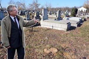 Gropar de verde: ADP Oradea taie copacii din cimitir ignorând legea şi interdicţia dată de Primărie