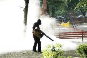 Horticultura, arma primariei impotriva tantarilor, mustelor, capuselor si sobolanilor din Timisoara