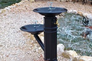 Primăria Sibiu cumpără şi montează cişmele stradale noi