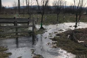 O nouă poluare OMV Petrom în Suplacu de Barcău: Curtea unor localnici, 