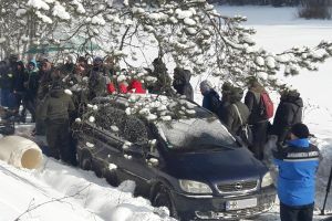 Amenzi pentru tăiere de arbori şi consum de alcool în locuri publice