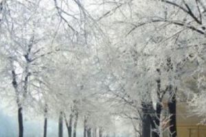 Gerul CUMPLIT a făcut PRIMA VICTIMĂ! L-au găsit MORT în spatele casei