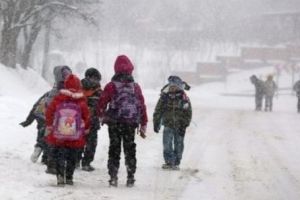 CURSURI SUSPENDATE ÎN JUDEŢUL CĂLĂRAŞI