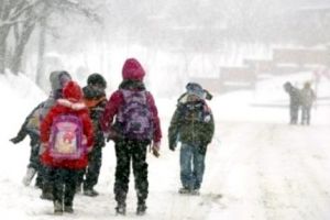 15 şcoli închise în judeţ