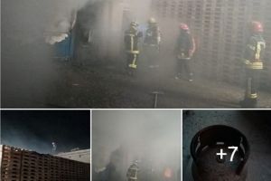 INCENDIU la un depozit de lângă Arad. Intervenţie dificilă a pompierilor (GALERIE FOTO)