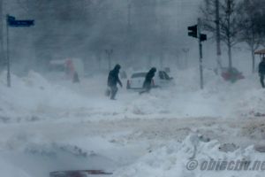 Ialomiţa: COD PORTOCALIU de viscol