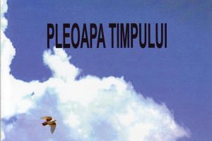 Octavian Nestor: „Pleoapa timpului”