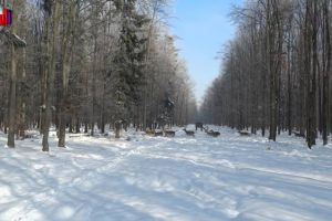 Hrană suplimentară pentru animalele din pădurile Sucevei, pentru a trece cu bine de ger