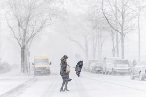 COD PORTOCALIU PENTRU CĂLĂRAŞI