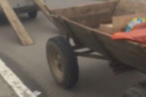 Politistii locali din Constanta au sanctionat carutasi depistati pe strazile din oras