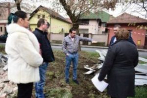 USR Maramures despre taierea copacilor din Piata 1 Iunie: Un nou abuz marca Catalin Chereches