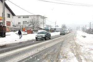 Albota, „Ducatul” cu multe oportunităţi pentru investitori