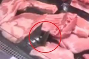 Șoarece filmat într-o măcelărie. ”Degusta” din produse - VIDEO