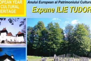 „Comorile României”, expuse la muzeul devean