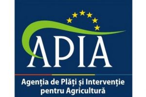 Doi fosti angajati ai APIA, sub control judiciar 