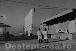 Podgoria Zeletin – Dealu Morii